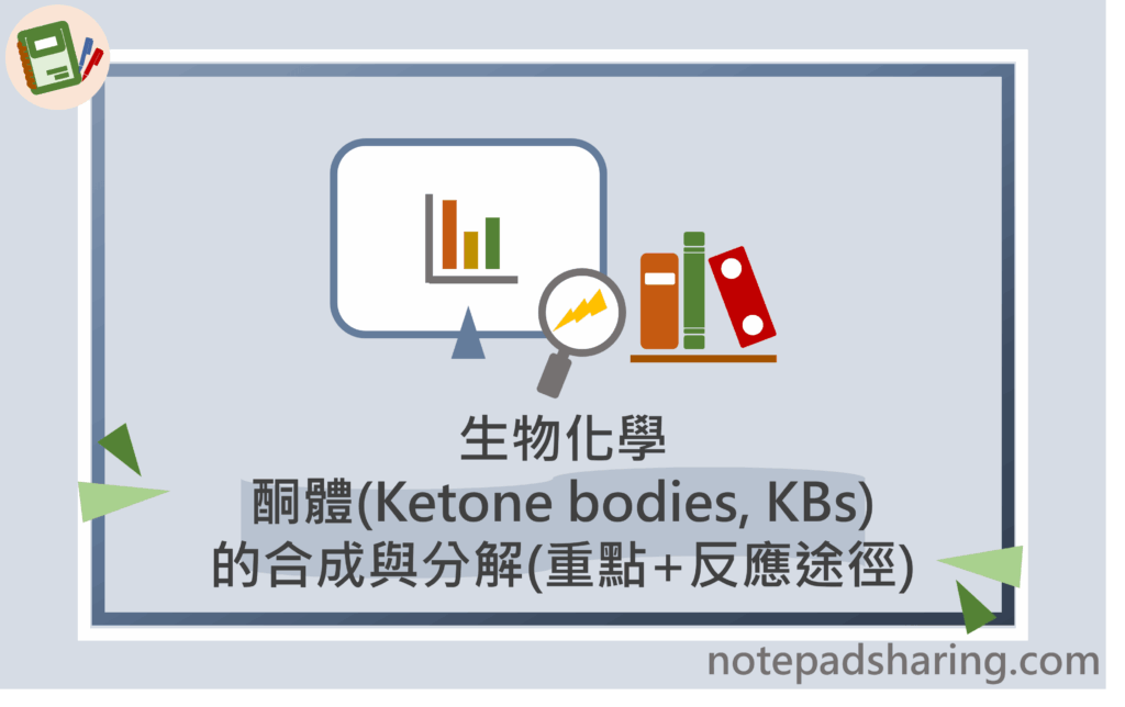 酮體(Ketone bodies, KBs)的合成與分解(重點+反應途徑) - 筆記共享網站