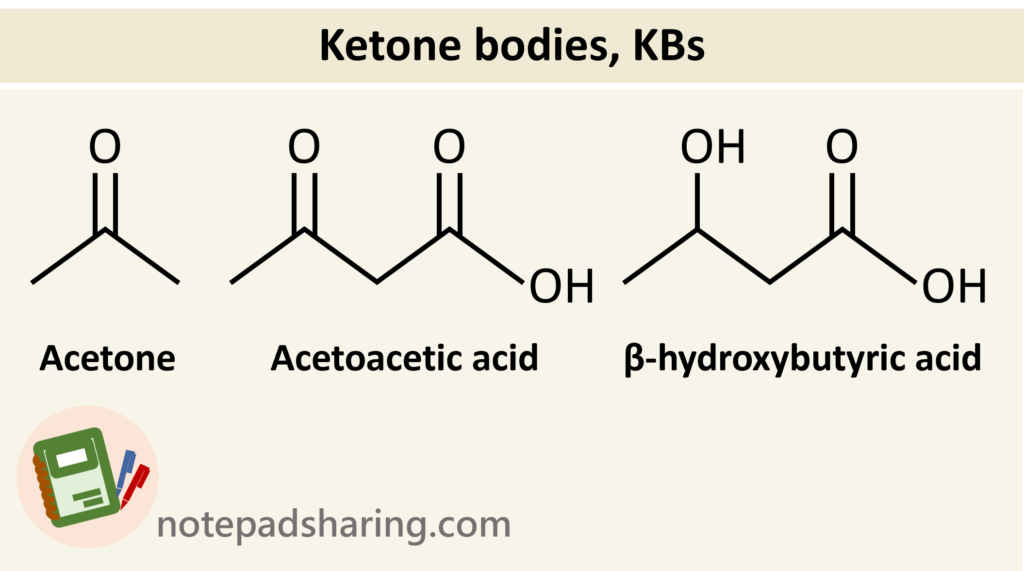 Acetone、Acetoacetic acid、β-hydroxybutyric acid。